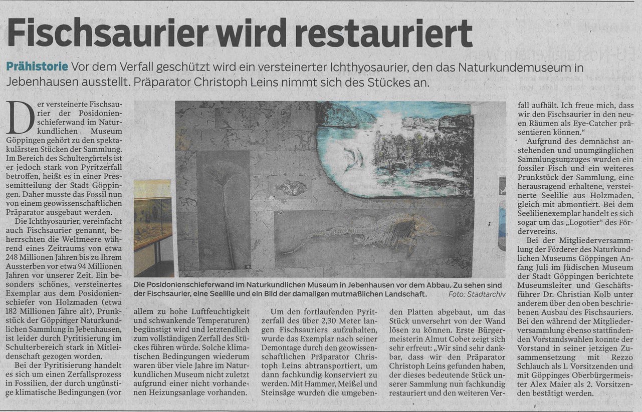 Zeitungsartikel: Fischsaurier wird restauriert