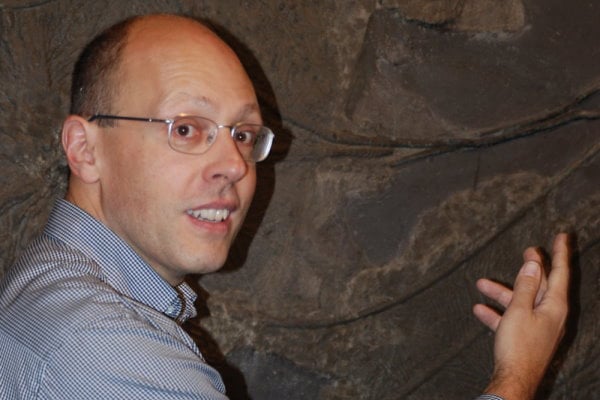 Diplom-Geologe und Paläontologe bei der Begutachtung einer Ichthyosaurier-Platte aus Holzmaden