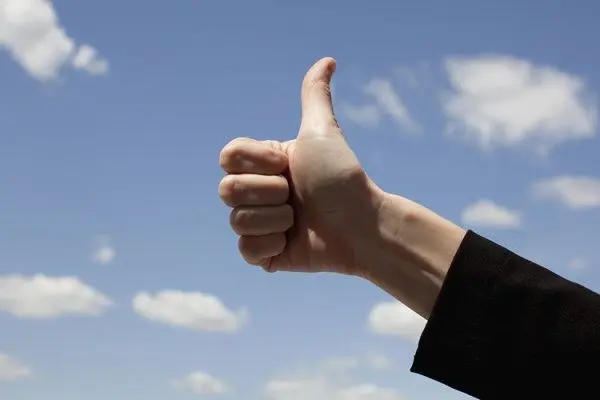 Fossilien_icon_Schätzung