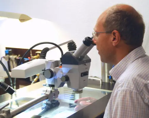 Fossilien_Praeparation