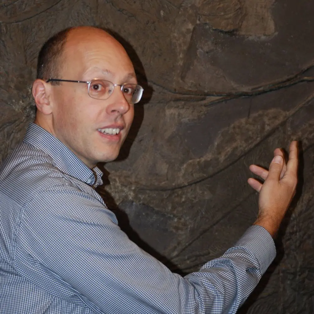 Fossilien Ankauf: Kontakt