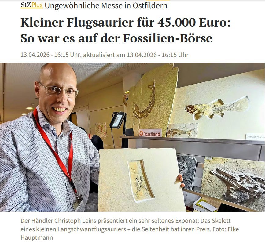 Stand auf Fossilienbörse Ostfildern 2026 - Beispiel für Fossilienvermittlung